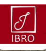 Логотип сервисного центра IBro